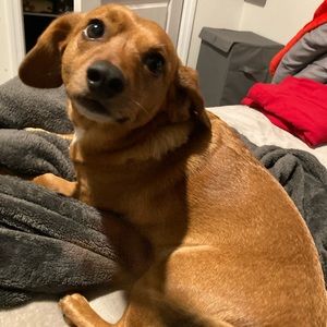 Meet your Posher, Estrella